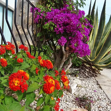 Villa Marga *
